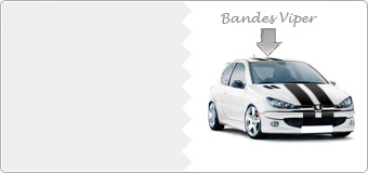 Stickers Bande Viper